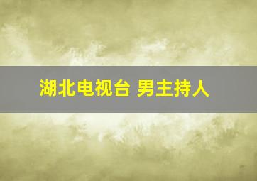 湖北电视台 男主持人